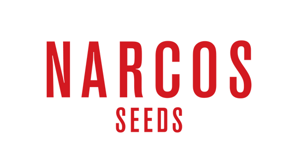 narcos seeds