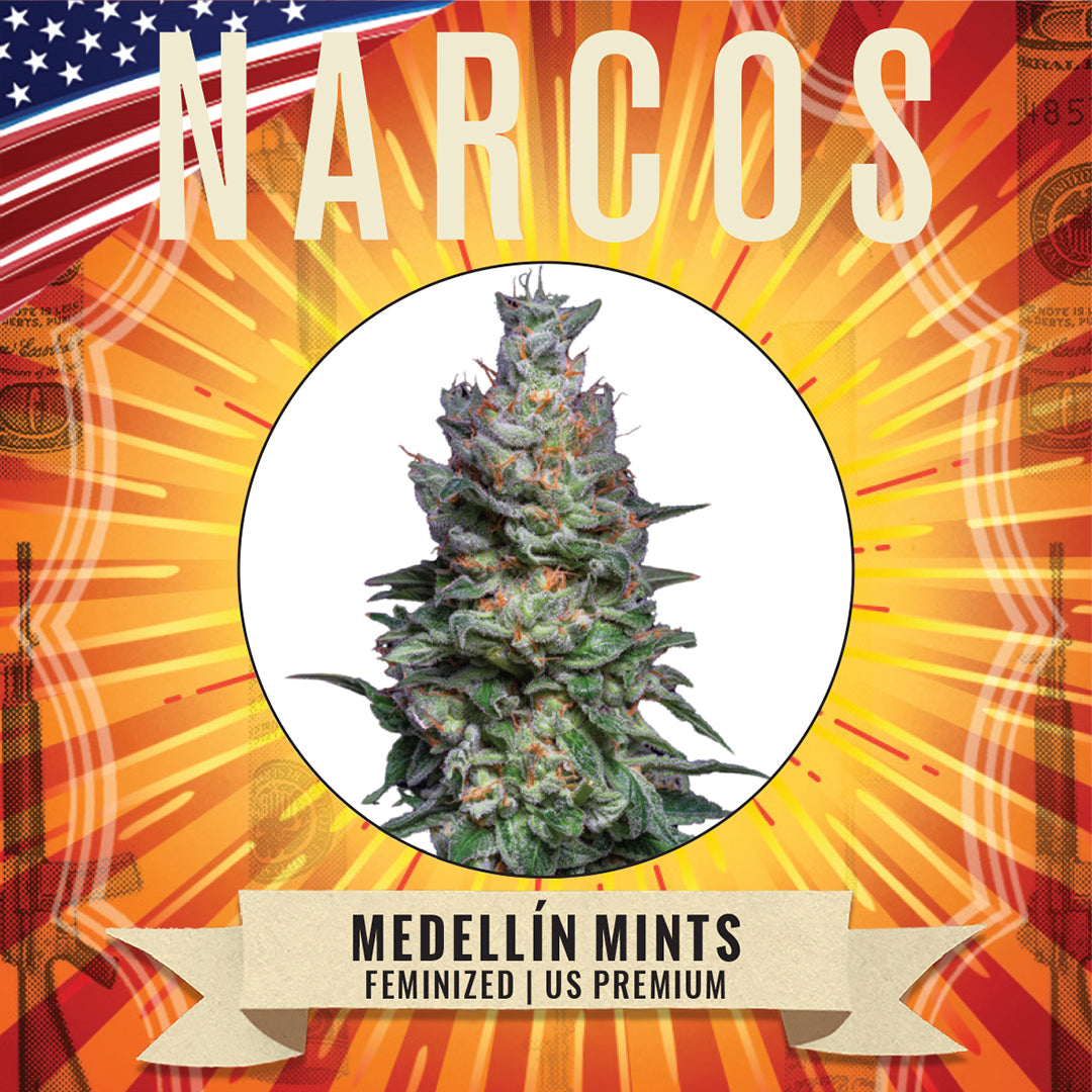 NARCOS Medellín Mints